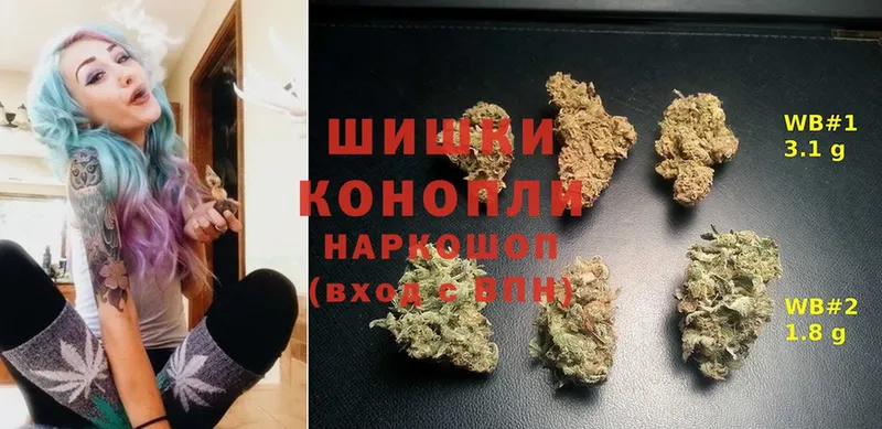 mega вход  Инсар  Каннабис ГИДРОПОН 